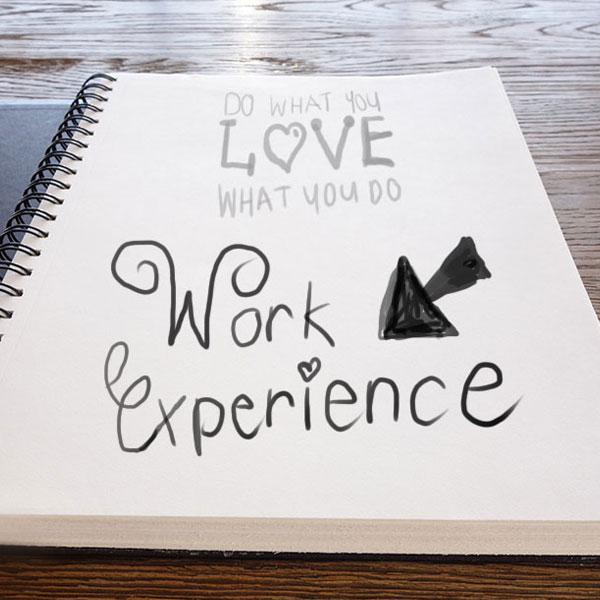 work-experience-finalsmall