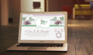 The Little Green Box's Newsletter